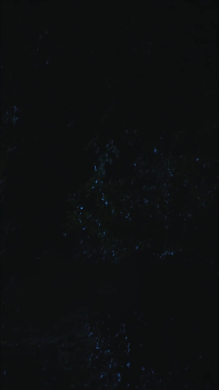 Episode 53